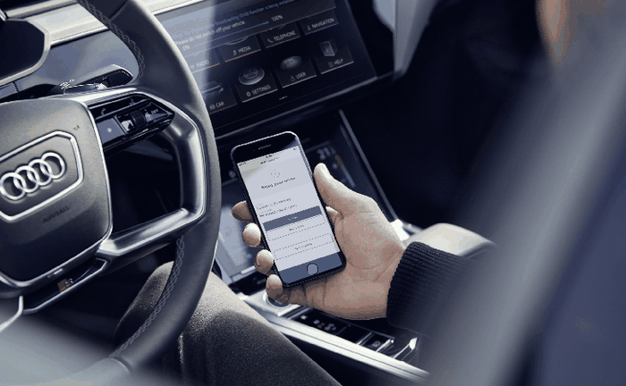 bon cadeau - volant plus téléphone dans main homme